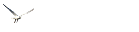 Pacific Breeze side logo