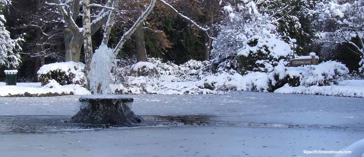 Victoria BC frozen fountain