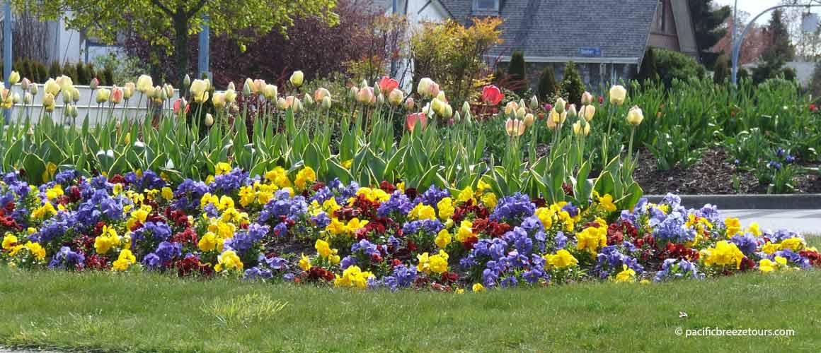 Victoria BC sightseeing tours