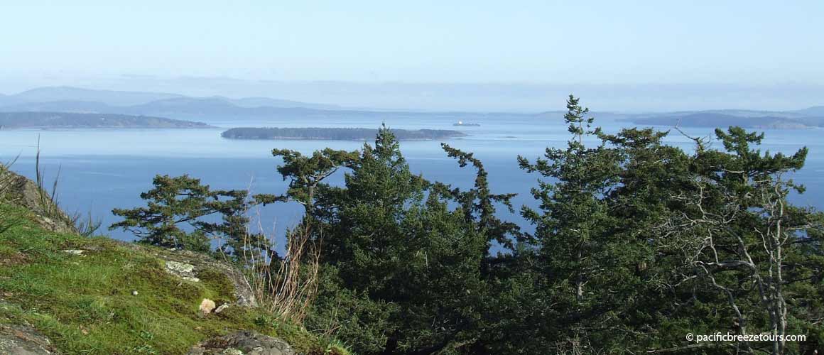 Victoria BC shore excursion activities