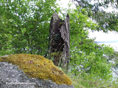 GeoHistory Testimonials