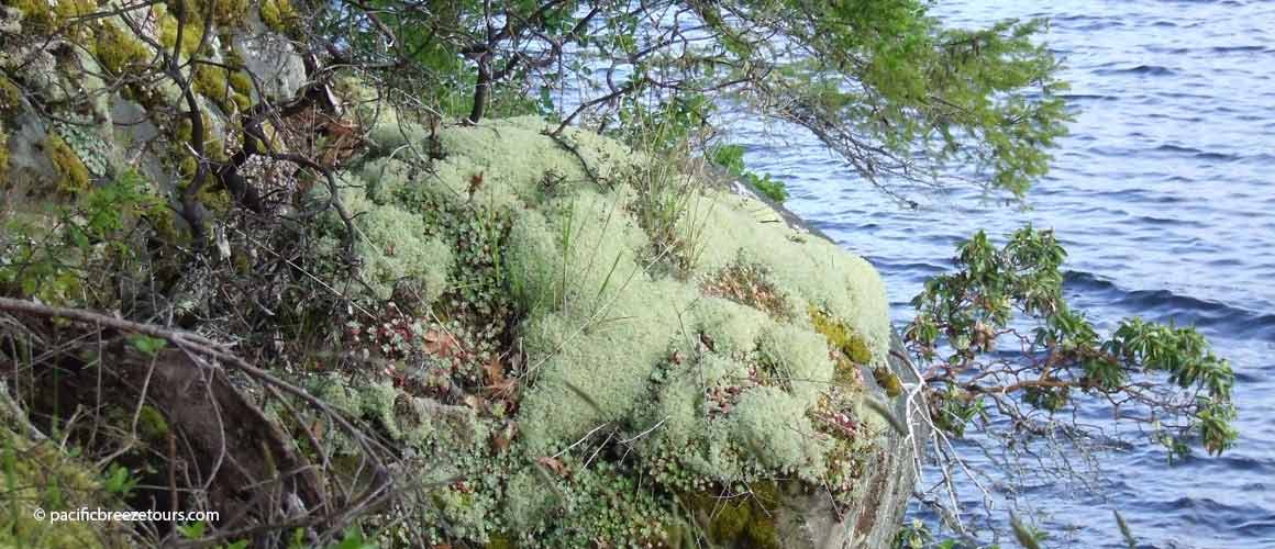 Victoria oceanside hiking adventures