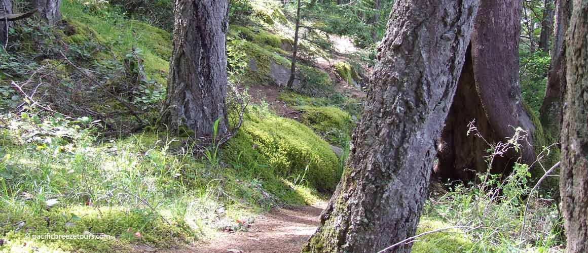 Victoria hiking adventure