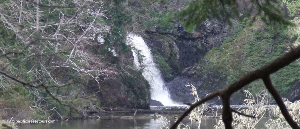 Victoria kayaking tour sightseeing