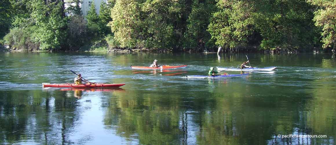 Victoria kayak shore excursions