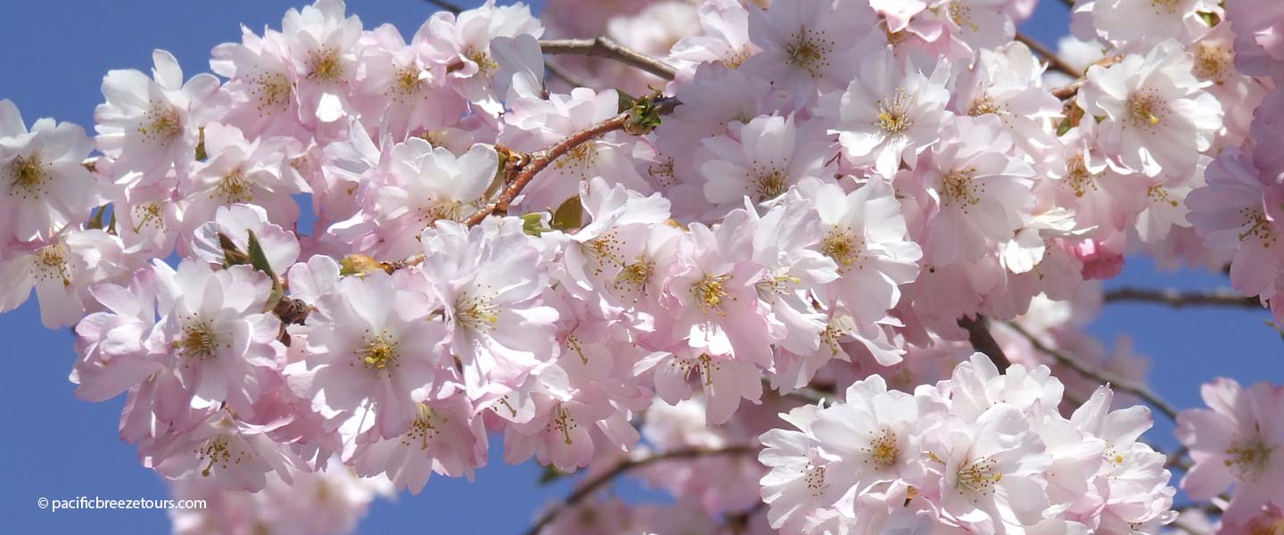 GeoHistory local participants