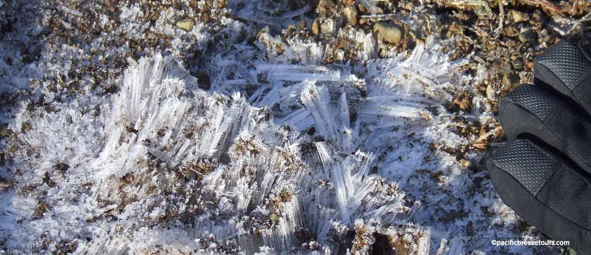 Victoria BC climate change tour