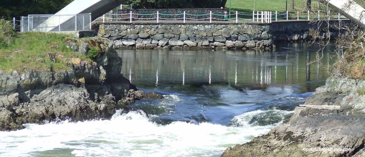 Victoria BC climate change tours